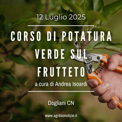 12 Luglio 2025 | Corso di potatura verde sul frutteto | Dogliani