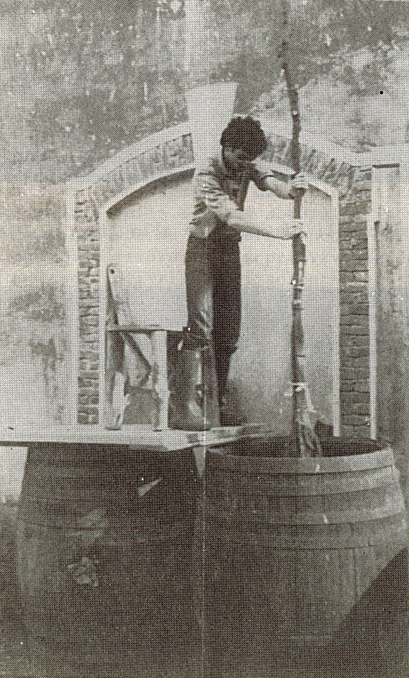 BOLLETTINI PRATICI DI AGRICOLTURA BIODINAMICA