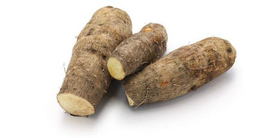 PRODOTTI LICHT YAM