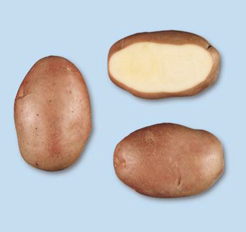 PATATE