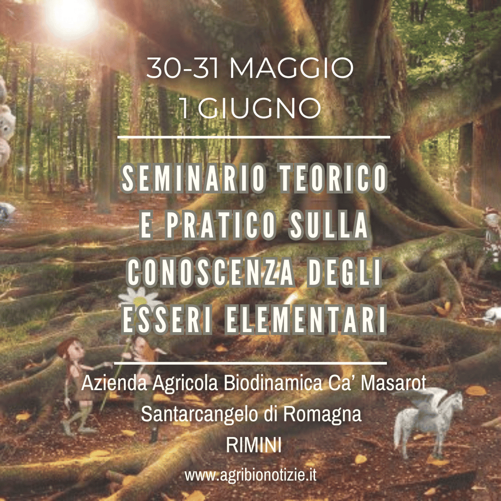 30, 31 Maggio, 1 Giugno 2025 | Seminario teorico-pratico sulla conoscenza degli Esseri Elementari | Rimini