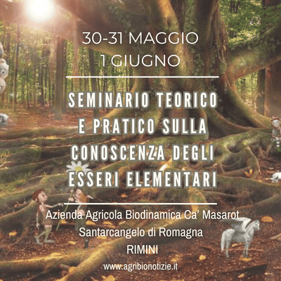 30, 31 Maggio, 1 Giugno 2025 | Seminario teorico-pratico sulla conoscenza degli Esseri Elementari | Rimini