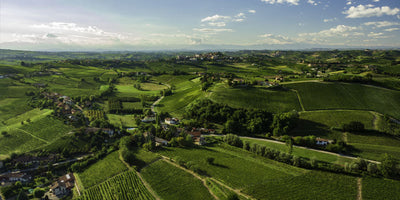 Villa Terlina