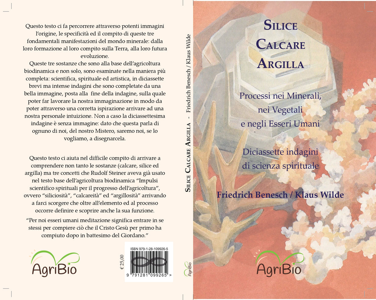 SILICE, CALCARE, ARGILLA - F. BENESCH & K. WILDE