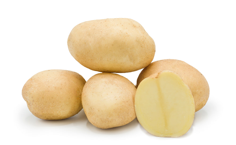 Organic GAUDI' potato 