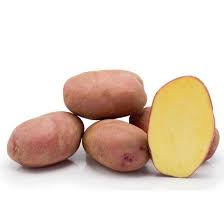 TWISTER BIO G potato size 28/40