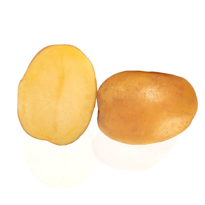 TWISTER BIO G potato size 28/40