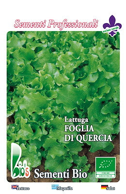 OAK LEAF LETTUCE - BIOSEED 2750