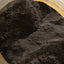 PREPARATO DEL CARBONIO
