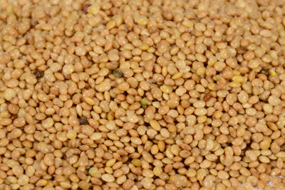 CORN MIXTURE OF OLD VARIETIES