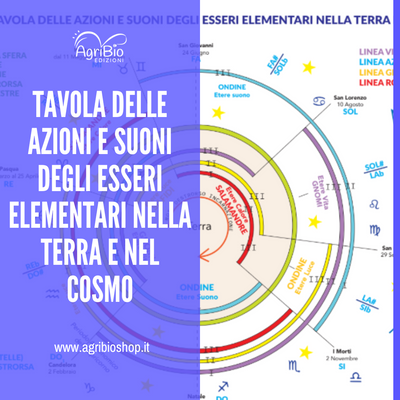 TAVOLA DELLE AZIONI E SUONI DEGLI ESSERI ELEMENTARI NELLA TERRA E NEL COSMO  -  Ivo Bertaina