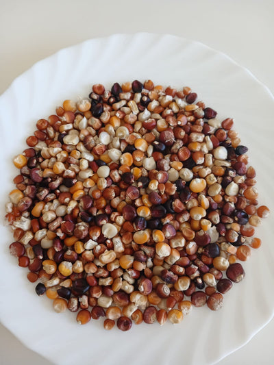 CORN MIXTURE OF OLD VARIETIES