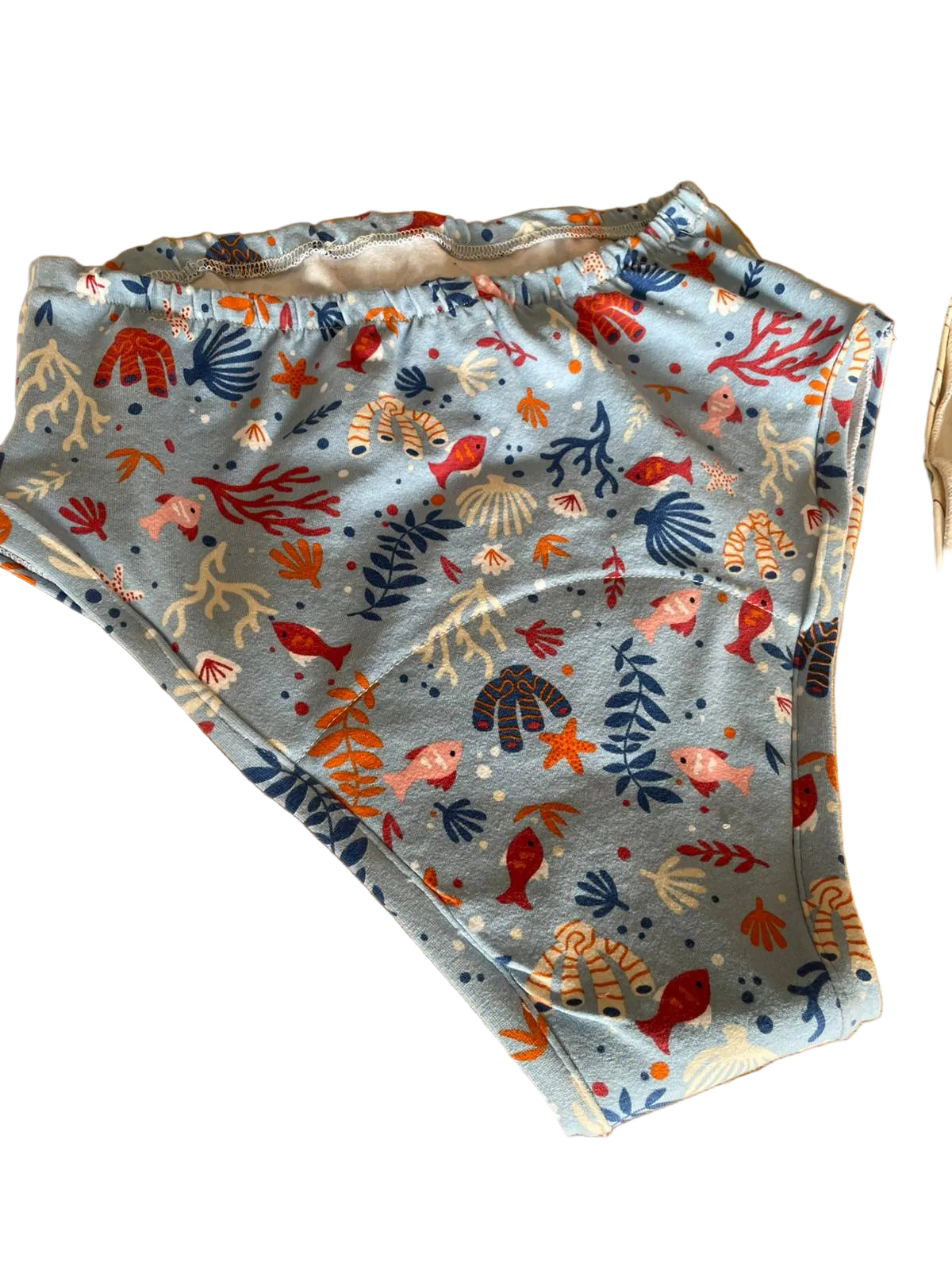Moon-tanda : Washable absorbent briefs