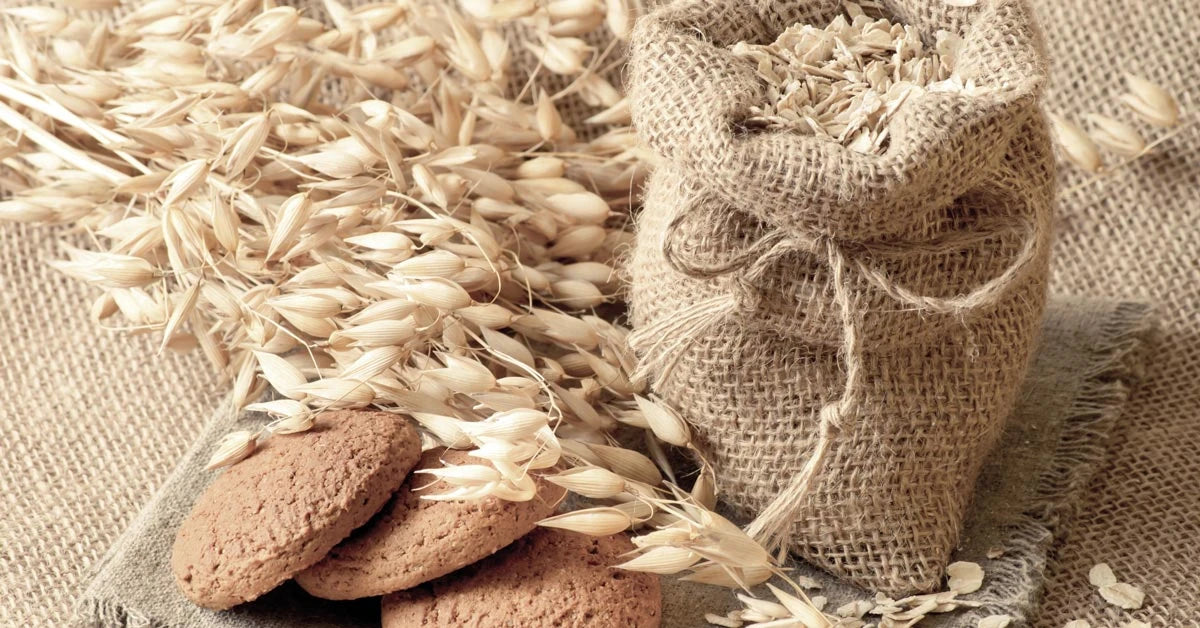AVENA VESTITA NON TRATTATA