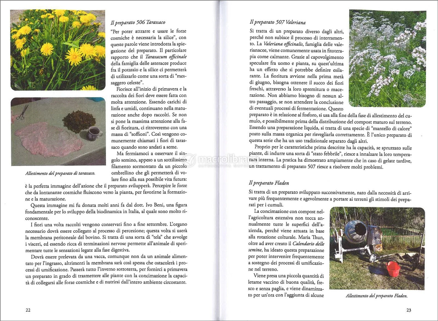 l'ORTICOLTORE BIODINAMICO