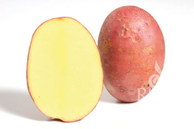 PATATA LAURA 28/45  DA AGRICOLTURA BIOLOGICA ORIGINE ITALIA SACCO DA 25 KG