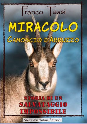 MIRACOLO CAMOSCIO
