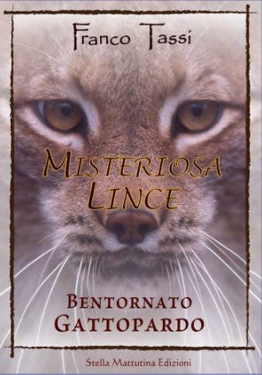 MISTERIOSA LINCE