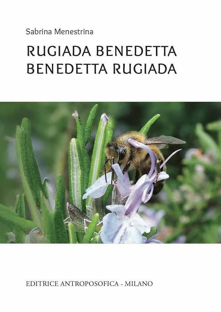 Rugiada benedetta - Sabrina Menestrina