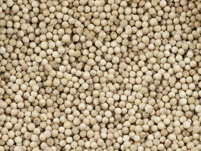 CORIANDER - BIOSEED 7122