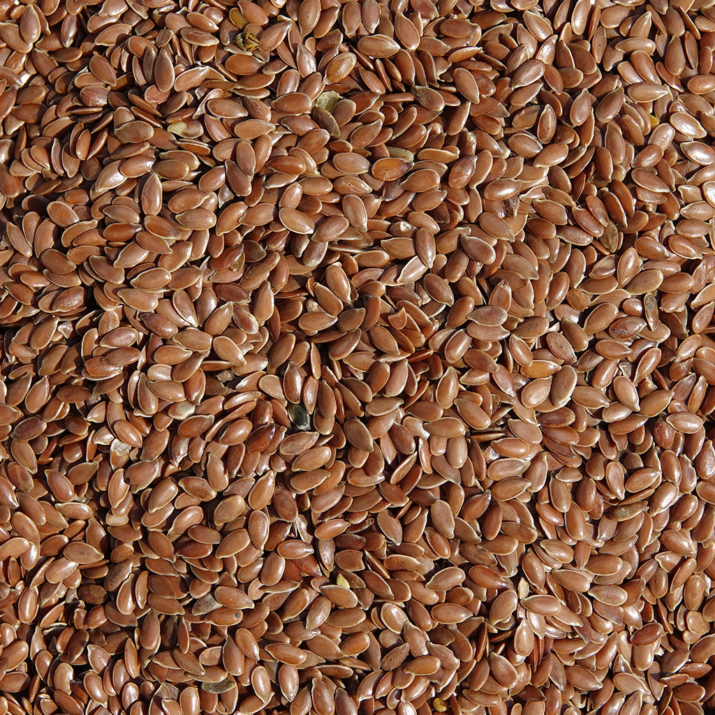 FLAX SEED