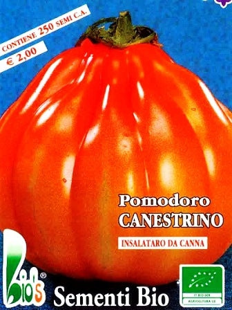 POMODORO CANESTRINO - BIOSEME 3297