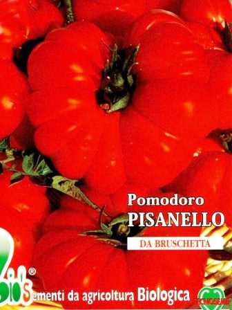 POMODORO PISANELLO - BIOSEME 3249