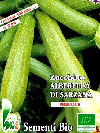 ZUCCHINO ALBERELLO DI SARZANA - BIOSEME 4376