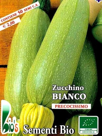 ZUCCHINO BIANCO DI TRIESTE - BIOSEME 4383
