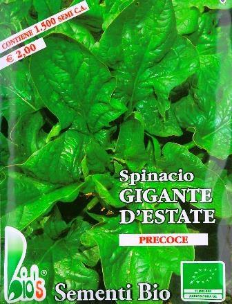 SPINACIO GIGANTE ESTIVO - BIOSEME 4175