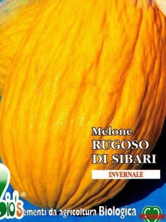 MELONE AMARILLO - RUGOSO NAPOLETANO - BIOSEME 2901
