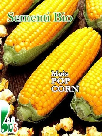 MAIS POP CORN - BIOSEME 5004