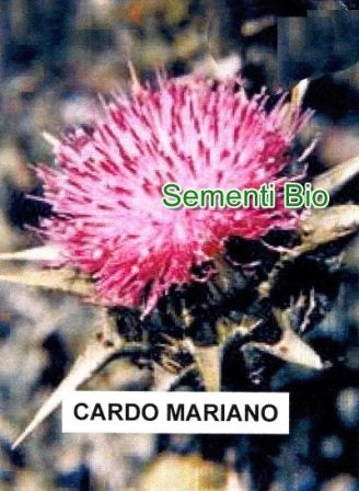 CARDO MARIANO - BIOSEME AR07