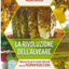 LA RIVELAZIONE DELL' ALVEARE