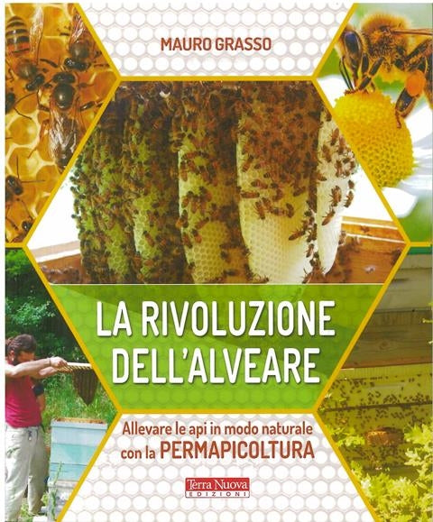 LA RIVELAZIONE DELL' ALVEARE