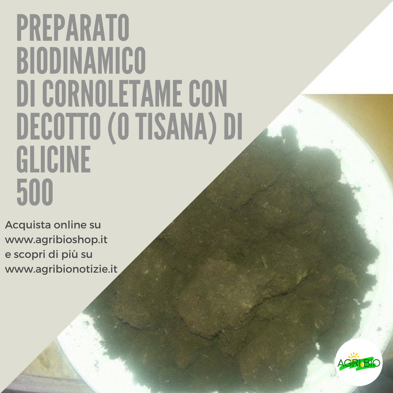 500 CORNOLETAME CON DECOTTO ( O TISANA) DI GLICINE