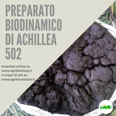 502 PREPARATO DI ACHILLEA