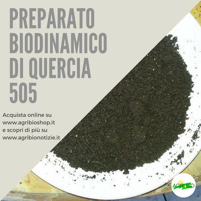 505 PREPARATO DI QUERCIA