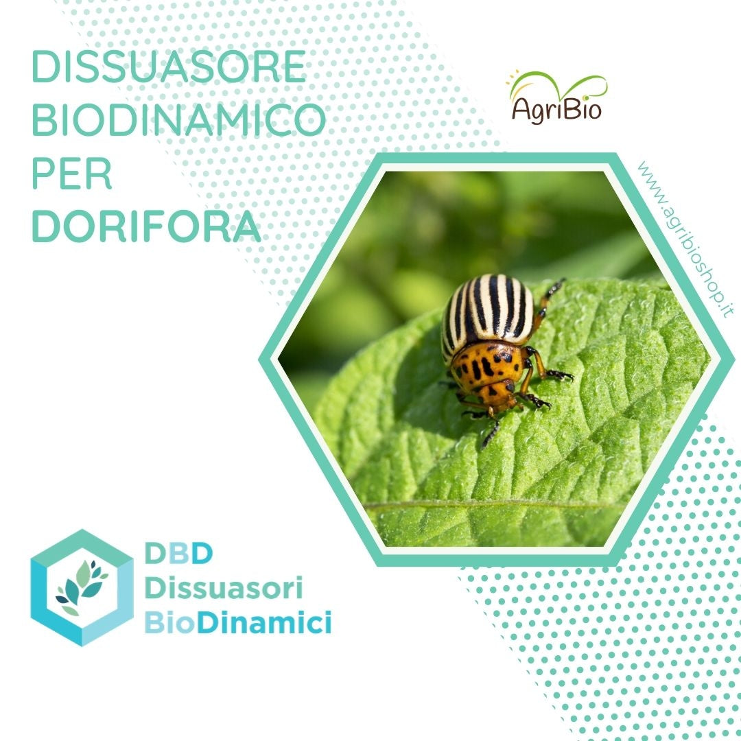 Dissuasore BioDinamico per Dorifora - 1L
