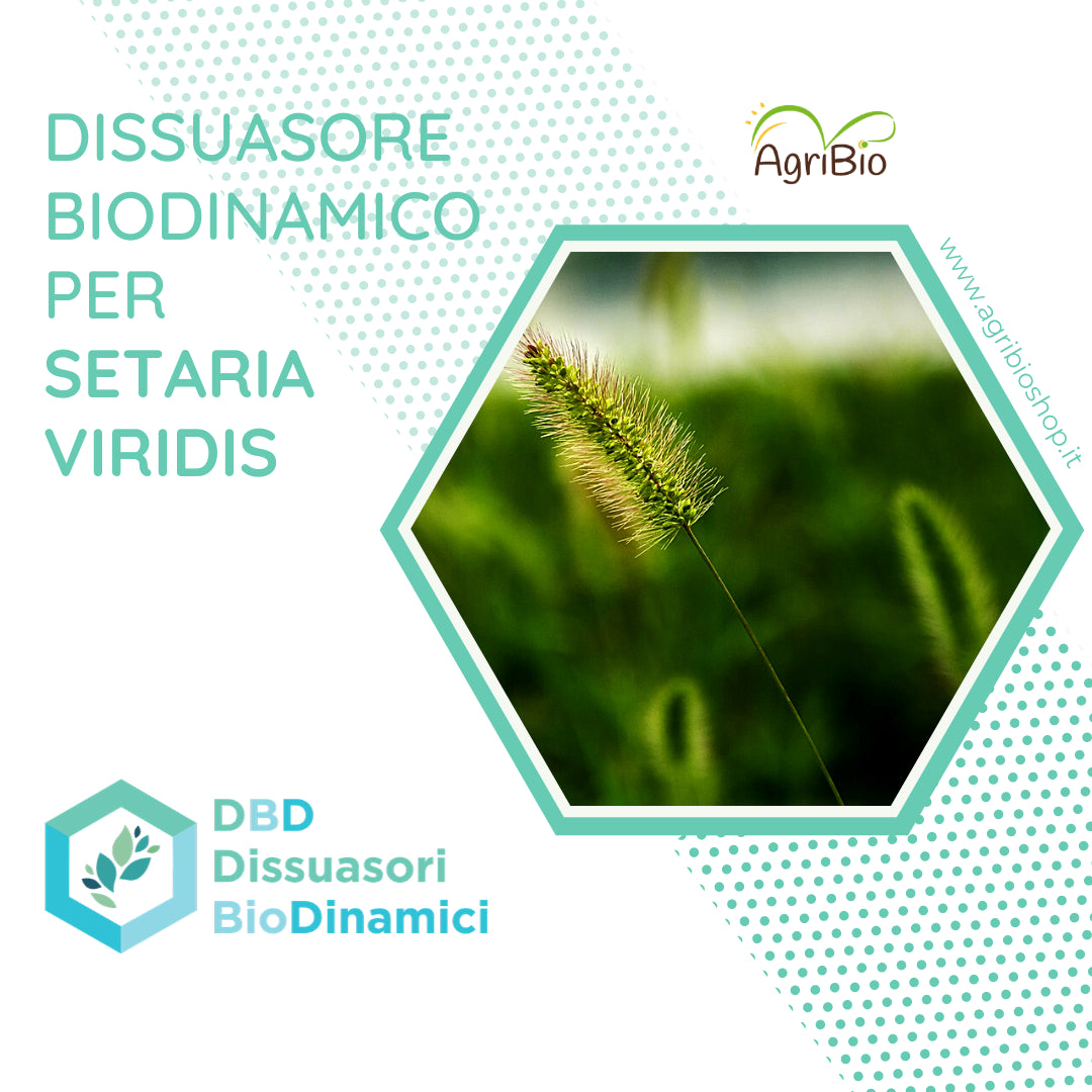 Dissuasore per Setaria viridis- 1L