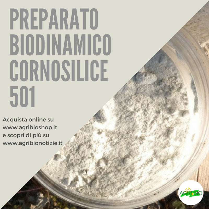 501 CORNOSILICE