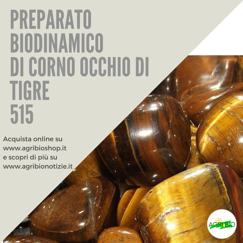 515 CORNO OCCHIO DI TIGRE