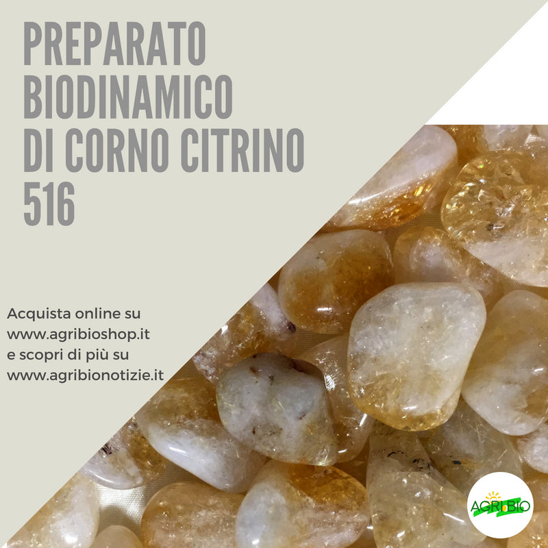 516 CORNO QUARZO CITRINO