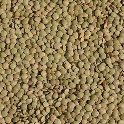 LENTICCHIE VERDI BIO 5 KG