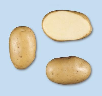 Patata MONALISA pezzatura 50/55