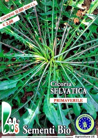 Misticanza Di Lattughe Colore E Gusto Maxibusta - Agraria Mentana - Foto 7