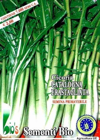 Misticanza Di Lattughe Colore E Gusto Maxibusta - Agraria Mentana - Foto 2