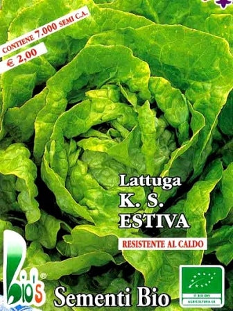 LATTUGA KS ESTIVA - BIOSEME 2712