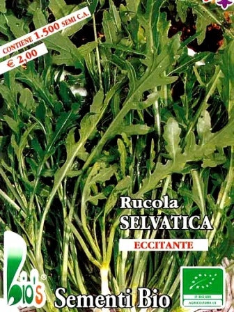 RUCOLA SELVATICA DA CAMPO - BIOSEME 3855