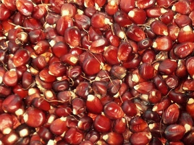 MAIS OTTO FILE ROSSO